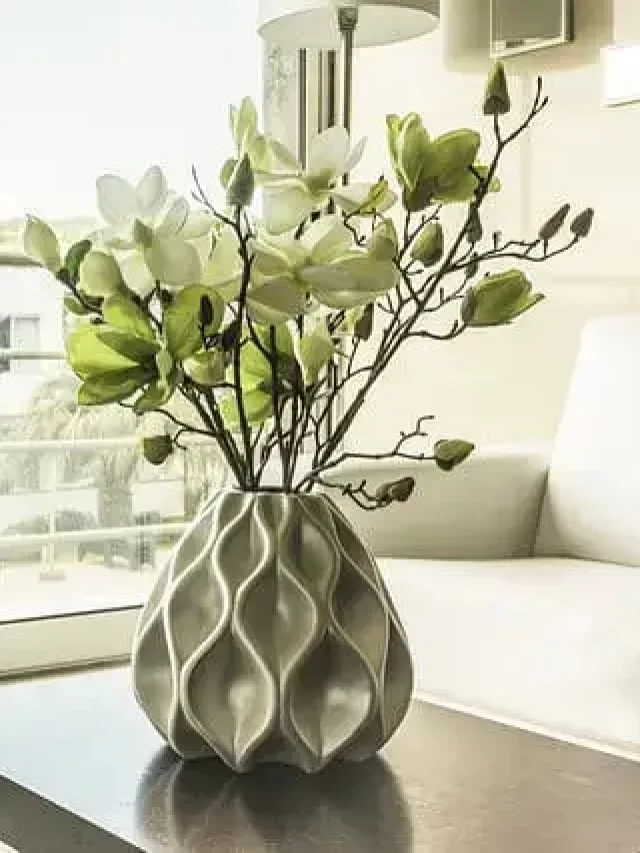 11 Plants You Should Have In Your Home